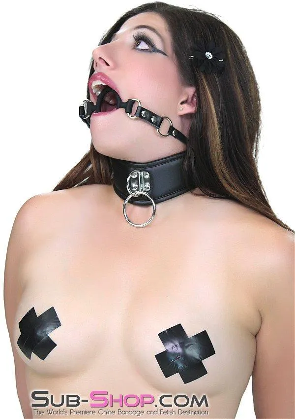 9908RS      Train Me To Be Yours Padded Collar with Ring Gag