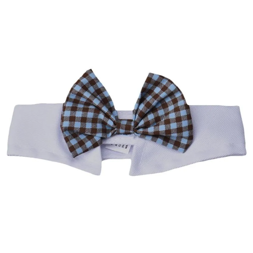 Cute dog  bow tie collar