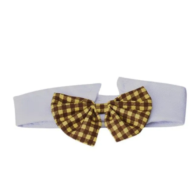 Cute dog  bow tie collar