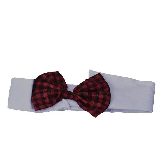 Cute dog  bow tie collar