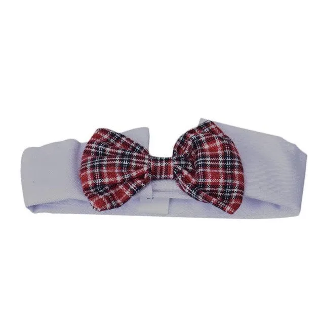 Cute dog  bow tie collar