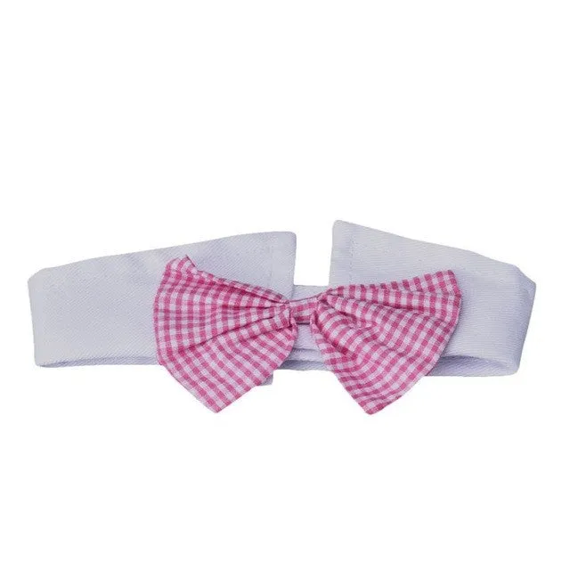 Cute dog  bow tie collar