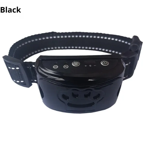 Dog burk collar