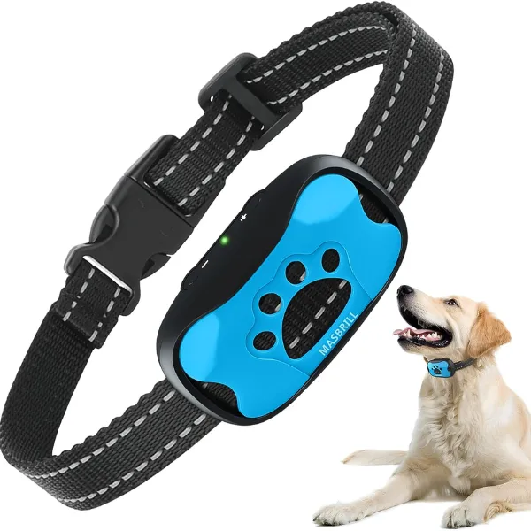 Dog burk collar