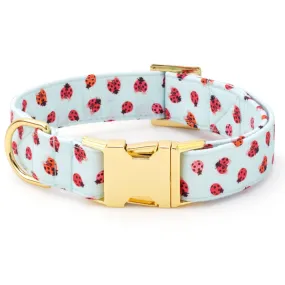 Foggy Dog Love Bug Dog Collar