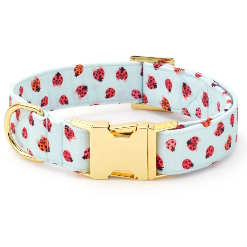 Foggy Dog Love Bug Dog Collar