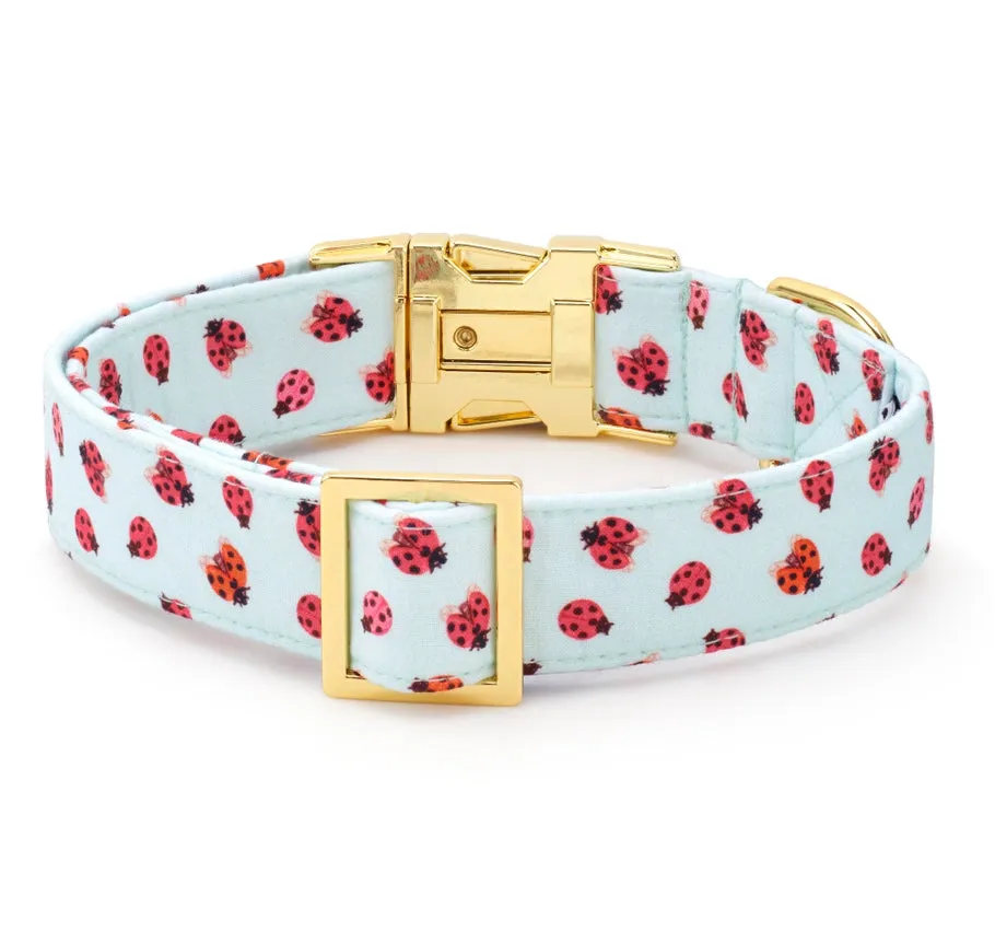 Foggy Dog Love Bug Dog Collar