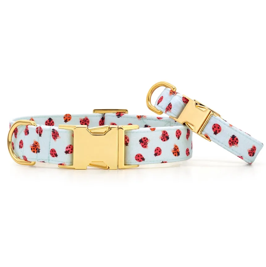 Foggy Dog Love Bug Dog Collar