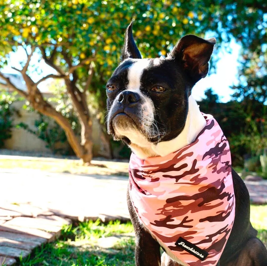 Frenchiestore Dog Cooling Bandana | Pink Ultimate Camo