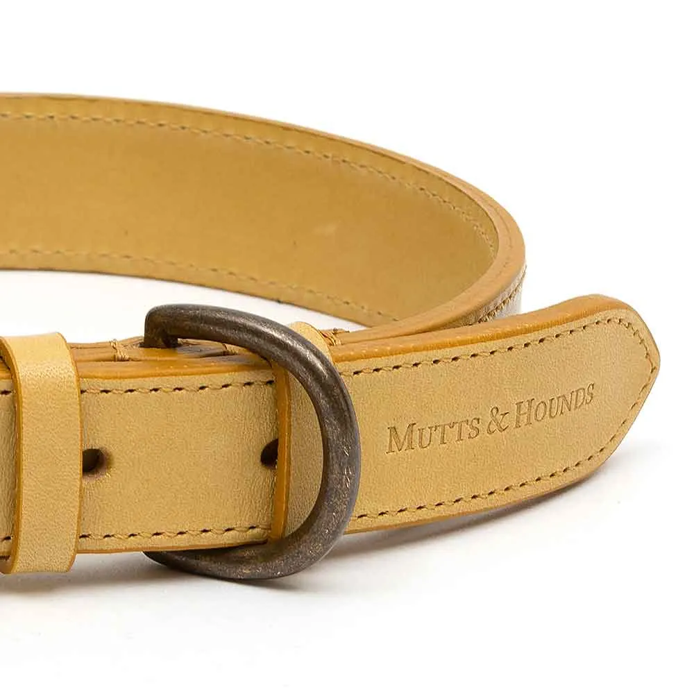 Leather Dog Collar Mustard Yellow Italian Leather by Mutts & Hounds