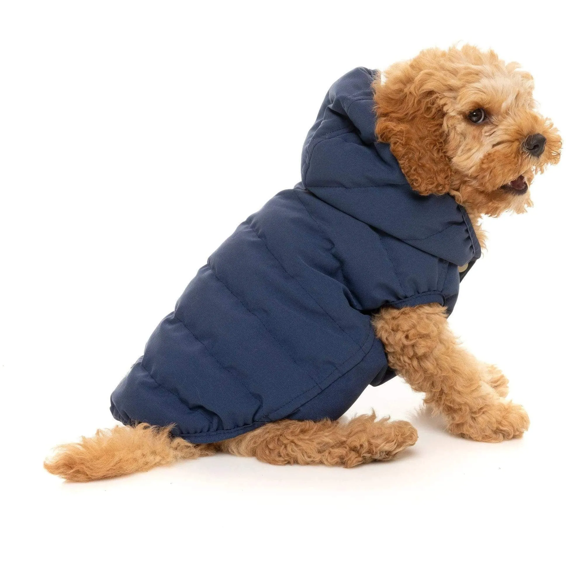 Luxury Aspen Dog Jacket - Marine Blue