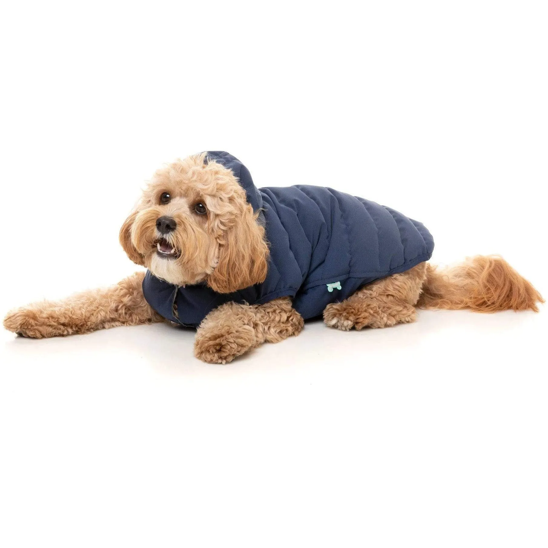 Luxury Aspen Dog Jacket - Marine Blue