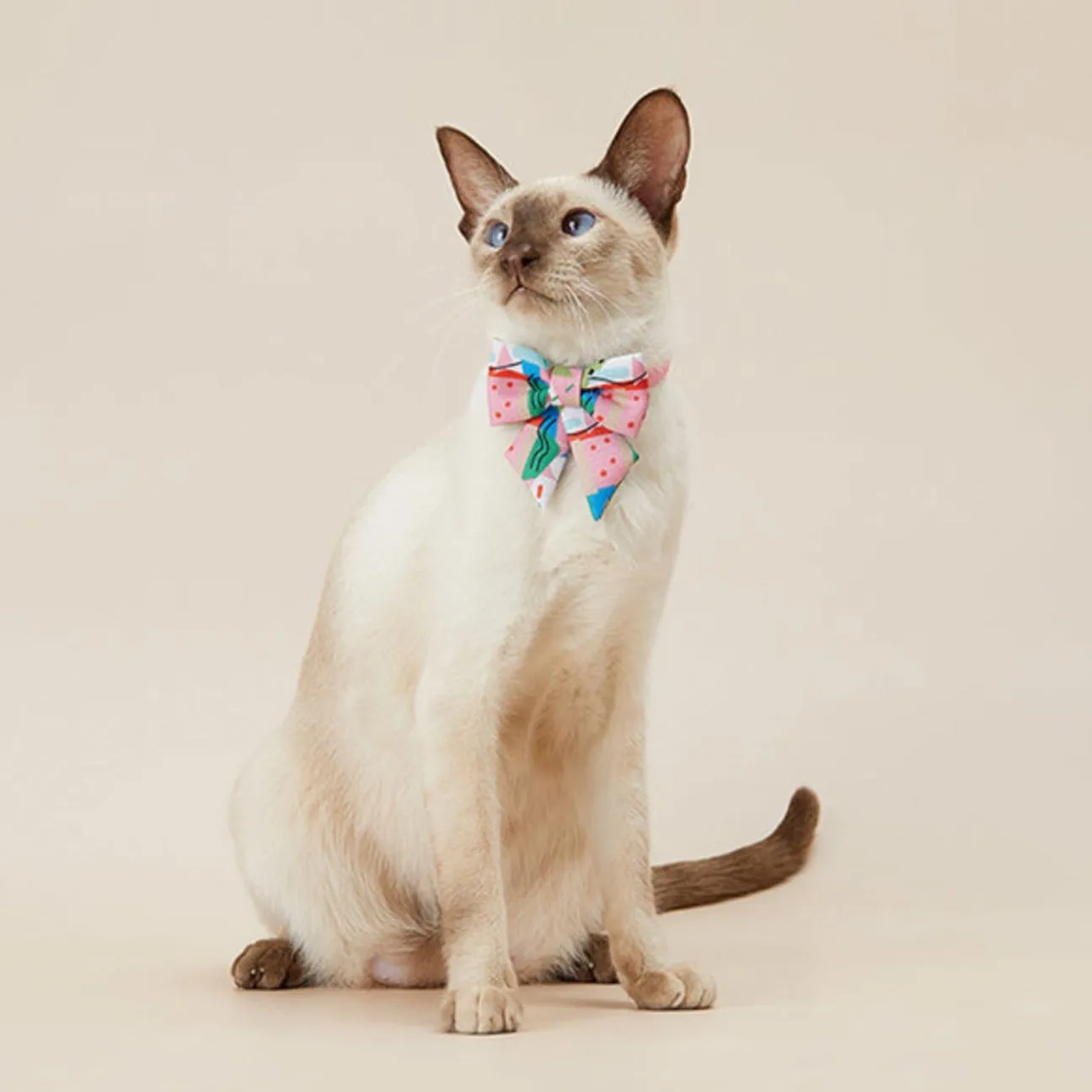 PETKIT Pet Bow Tie Collar