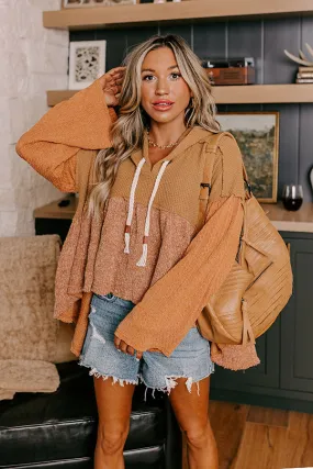 Pumpkin Spice Feels Knit Sweater in Camel