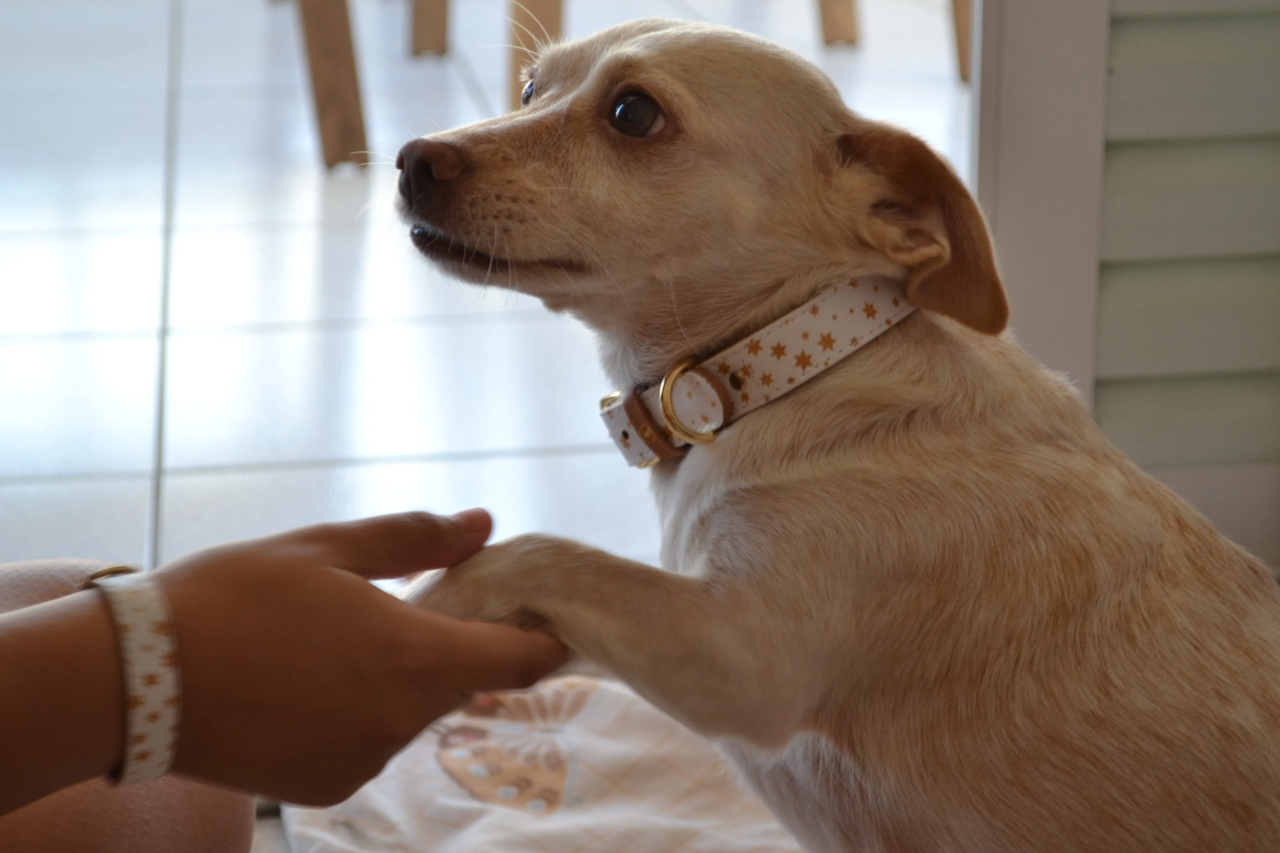 "Fairytale" Collar & Bracelet