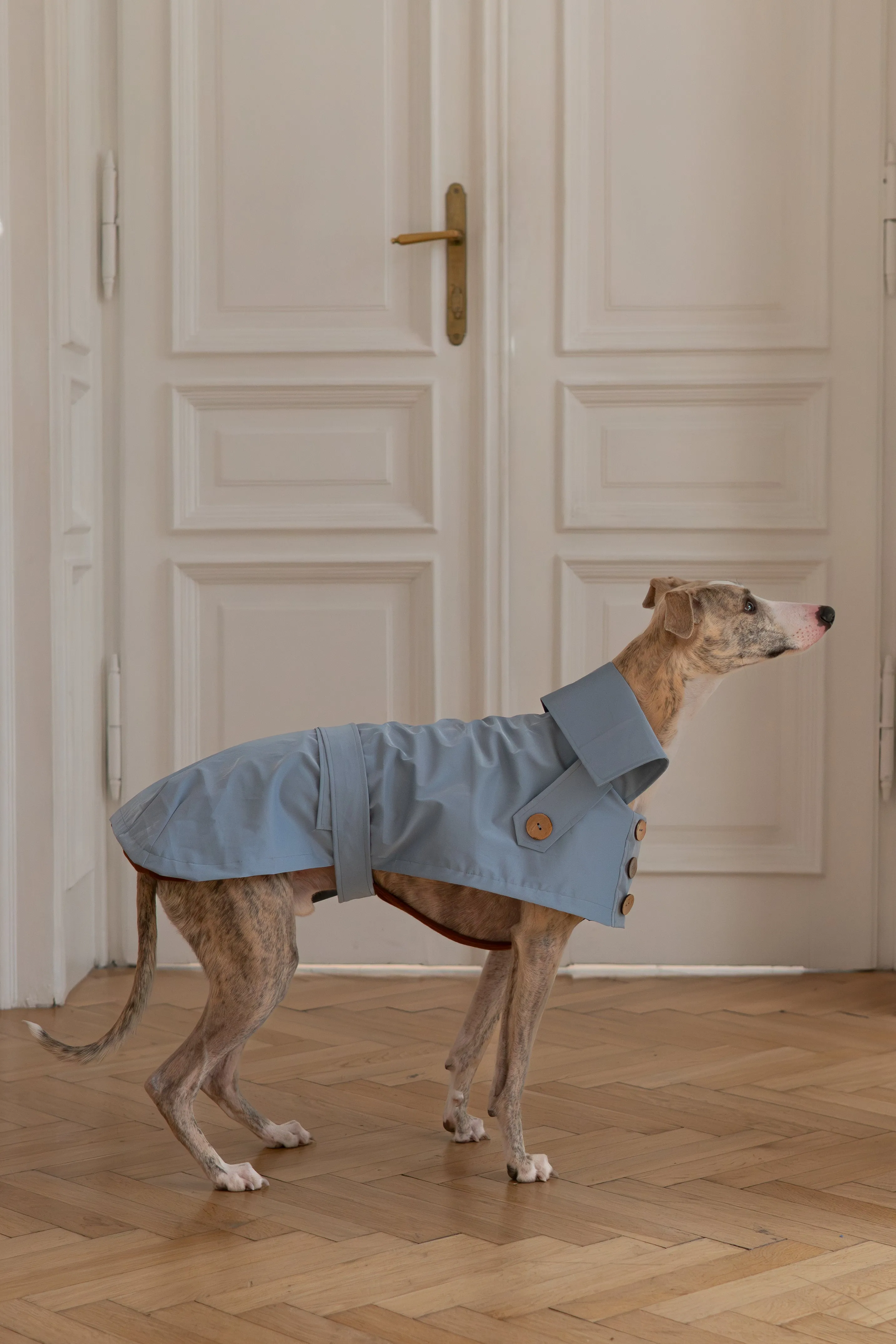 Water-repellent Dog Trench Coat - Light Blue